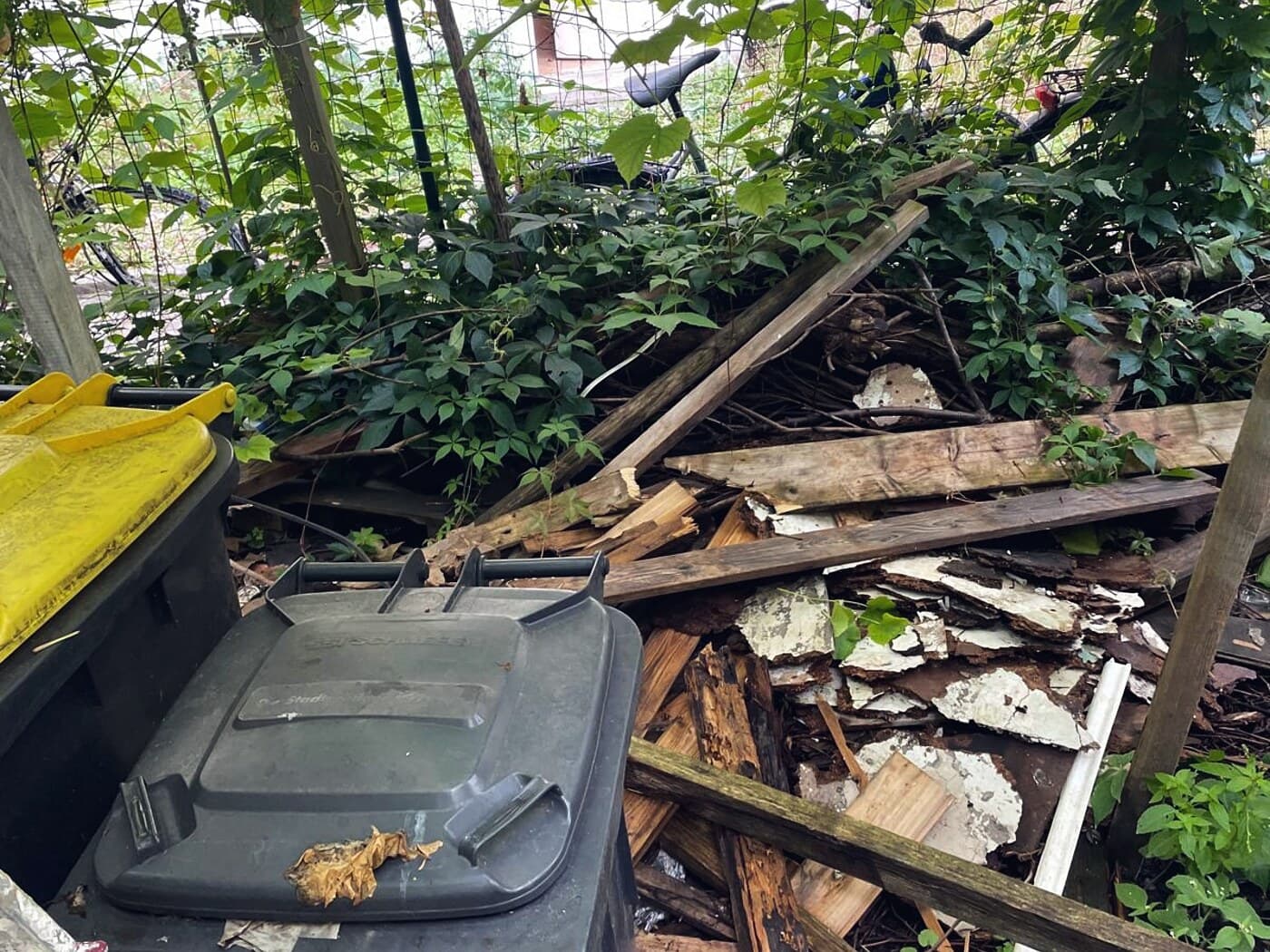 Garten & Aussenbereich — Auch was hinterm Haus liegt, muss weg. Wir holen es raus.