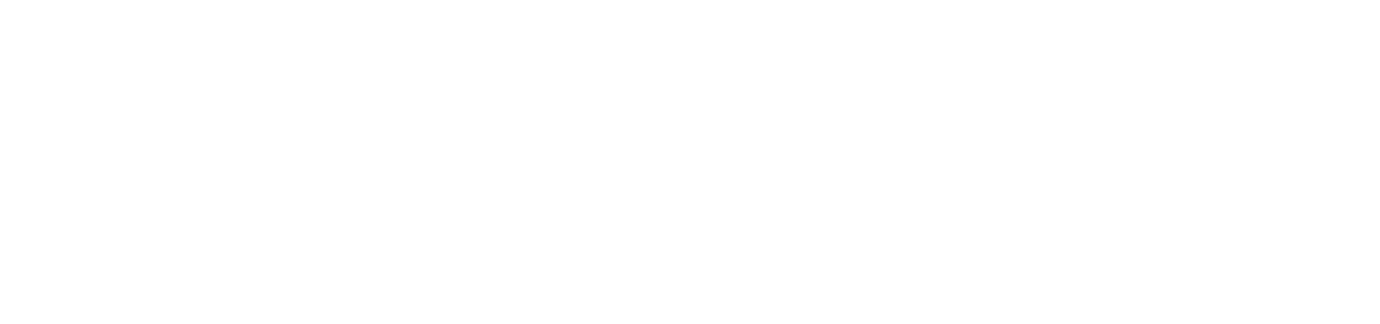 Die Umzugshelden Hessen
